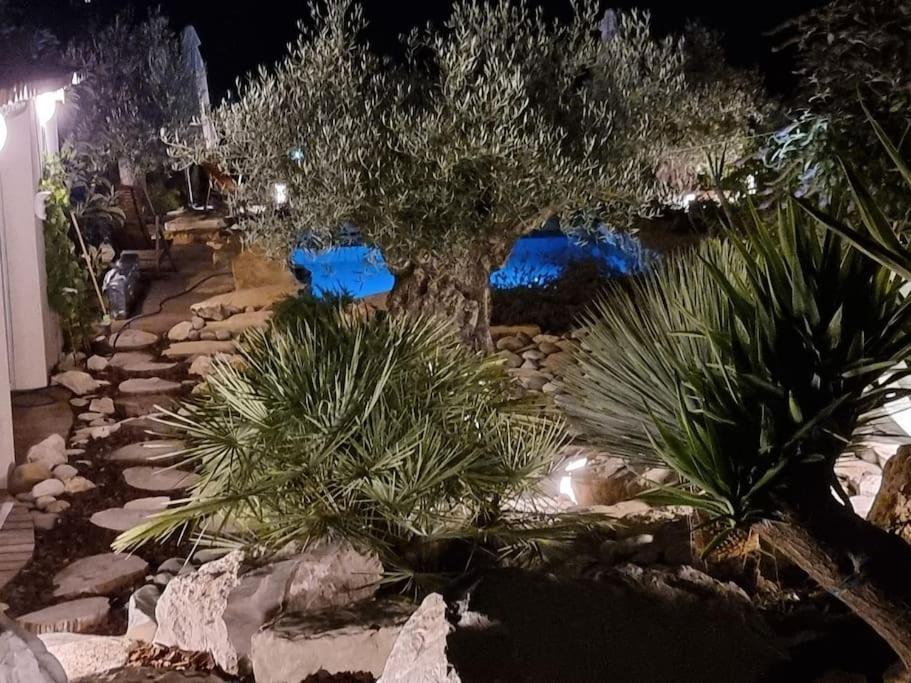Une Oasis au Pays de Cézanne Aix-en-Provence Extérieur photo