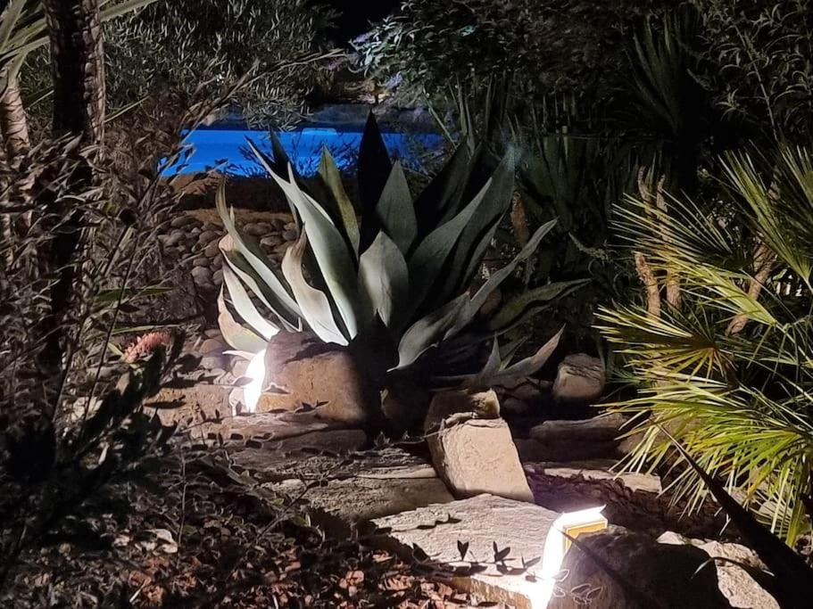 Une Oasis au Pays de Cézanne Aix-en-Provence Extérieur photo